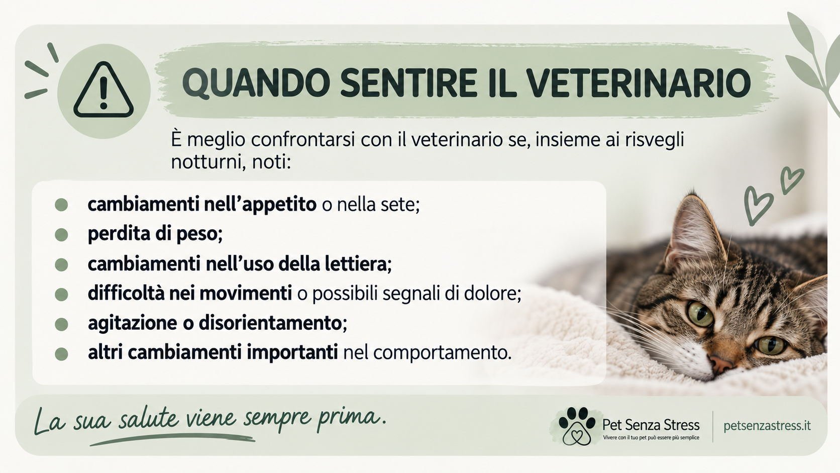 Quando sentire il veterinario se il gatto ti sveglia di notte Segnali da osservare quando il gatto ti sveglia di notte, come cambiamenti nell’appetito, perdita di peso, dolore, agitazione o disorientamento.